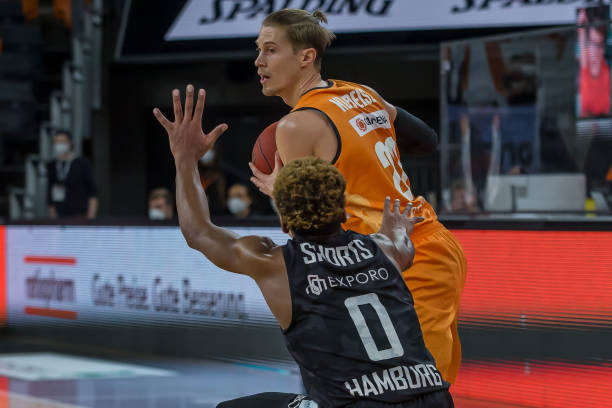 仅是森林狼 仅是森林狼