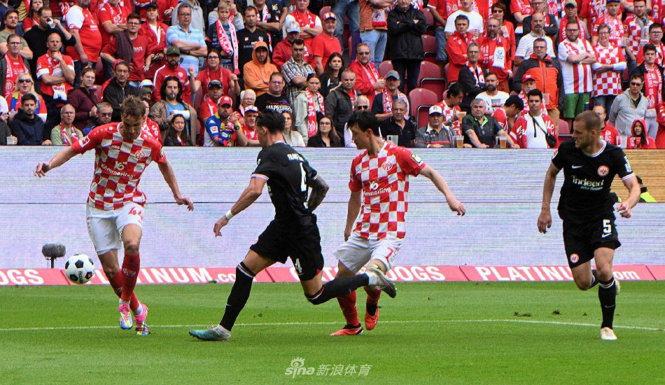 于爱好者来 于爱好者来